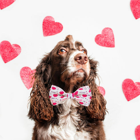 Valentine Dog Bow Tie Collar, Holiday Let's Kiss and XOXO Collar for Large Medium Small Pets Puppies (Large-(16-27") Neck * 1" Wide, Let Kiss)...