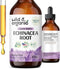 Echinacea Drops - Immune Support Supplement w/Organic Echinacea Root - Alcohol-Free Echinacea Liquid for Immune Defense - Echinacea Herbal Supplem...