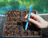 Dibby Seed Sowing Garden Tool Dibber Planter Transplanter – Sow Seeds at the Right Depth – Easily Transplant Delicate Seedlings (Dibby XL) Blue...