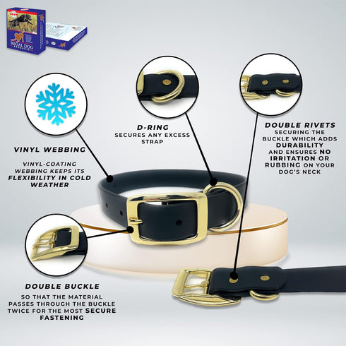 Regal Dog Products Small Light Blue Waterproof Dog Collar with Gold Buckle, Resilient and Durable Materials, Comfortable Design - for Small, Mediu...