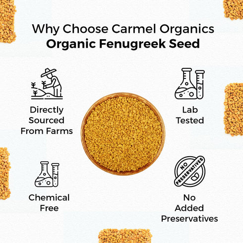CARMEL ORGANICS Fenugreek |Methi Seeds (Whole, 8 Ounce or 0.5 Lbs)(Pack of 1) | USDA Certified Organic | Non-Gmo | No Added Preservatives | Indian...