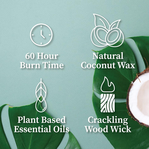 Hemlock Park Crackling Wood Wick Candle Handcrafted with Natural Coconut Wax (Standard 8 oz, Bergamot Cedar)...