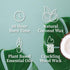Hemlock Park Crackling Wood Wick Candle Handcrafted with Natural Coconut Wax (Standard 8 oz, Bergamot Cedar)...