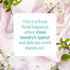 Home & Fabric Spray Air Freshener, Fragrance for Office, Car, Bathroom, Multiroom - Fresh Linen, 8.45 Oz (Pack of 1)...