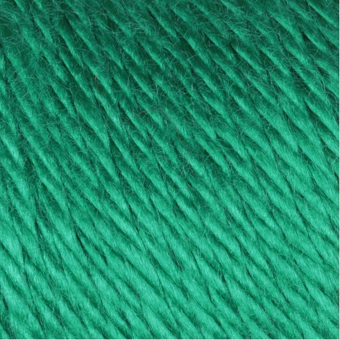 Bulk Buy: Caron Simply Soft Yarn Solids (2-Pack) (Kelly Green)......