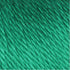 Bulk Buy: Caron Simply Soft Yarn Solids (2-Pack) (Kelly Green)......
