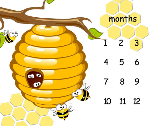 Honeycomb Bee Baby Monthly Milestone Blanket 48x40in Nursery Newmom Gifts Age Growth Tracker with Bonus Marker LHFS835...