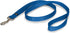 PetSafe Nylon Dog Leash - Strong, Durable, Traditional Style Leash with Easy to Use Bolt Snap - 1 in. x 4 ft., Royal Blue...