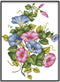 Rosyfoxes Cross Stitch Kits Stamped Full Range of Embroidery Starter Kits for Beginners DIY 11CT 3 Strands - Morning Glory (Printed) 35×44cm...