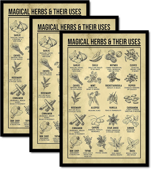 VLPGifts Magical Herbs And Their Uses Poster - Magic Herbs Kitchen Poster - Set Of 3 Posters Herbs - Wall Decor No Frame Poster, 11”x17”, White...