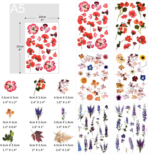 Rub On Transfer Sticker Scrapbook Stickers Flower Stickers Decoration Sticker Planner Stickers Plant Stickers for Scrapbooking Diary Album Journal...