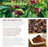 Clove Essential Oil - 100% Pure Therapeutic Grade Clove Oil - 120ml...