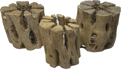3 Natural Cholla Wood Air Plant Display Holders 2 inch Individually Unique Round Decorative Stands...