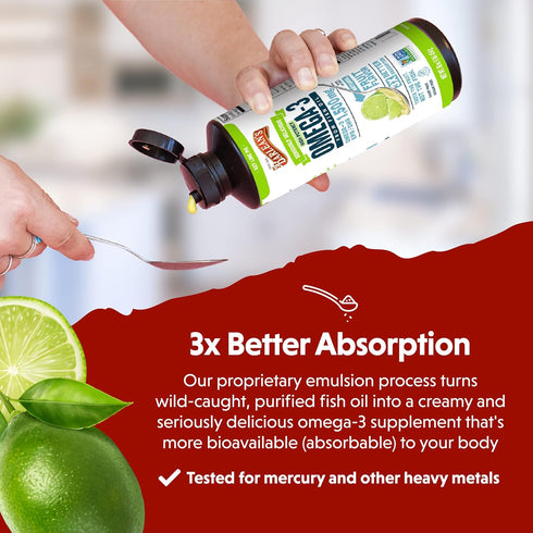 Barlean's Key Lime Pie High Potency Omega 3 Fish Oil Liquid Supplement, 1500mg of EPA& DHA Fatty Acid, Smoothie Flavored & Burpless for Brain, Joi...