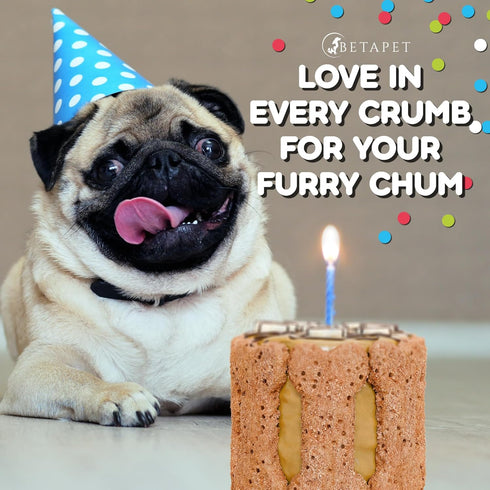 Dog Birthday Cake for Dogs to Eat - Rice Cake Based Dessert Made with Dog Birthday Treats and Human Grade Ingredients - Happy Birthday Dog Cake - ...