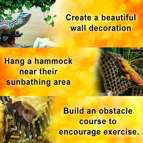 Wall Hooks, Transparent Adhesive Hangers, Rotatable Stainless Steel Hooks, Easy Installation & Reusable, Works on Ceramic, Marble, Glass, Metal (S...