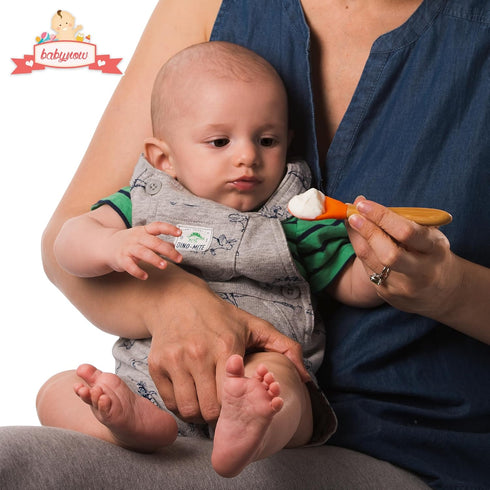 Babynow Bamboo Baby Spoons Self-Feeding Supplies for 6+ Months Babies & Toddlers in Bamboo & Soft Tip Designs BURGUNDY Pack of 2...