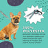 FuzzYard Dinosaur Land Dog Leash | Size S | Comfortable Neoprene Lead for Dogs | Perfect for Outdoor Walking & Training...