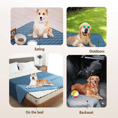 gogobunny 100% Double-Sided Waterproof Dog Bed Cover Pet Blanket Sofa Couch Furniture Protector for Puppy Large Dog Cat, Reversible (40x50 Inch (P...