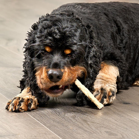 Beefhide Munchy Sticks 5" Dog Chew Treats - Natural Flavor, 40 Count/1 Pack...