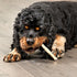 Beefhide Munchy Sticks 5" Dog Chew Treats - Natural Flavor, 40 Count/1 Pack...
