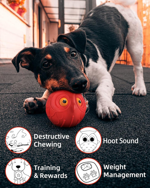 Giggle Ball for Dogs Owl Dog Toys for Aggressive Chewers Medium Large Dogs Gift for Dog Jolly Ball Natural Rubber Cute Owl Hoot(Tougher Rubber)...