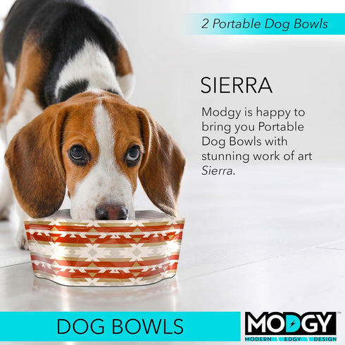 MODGY Collapsible Dog Food Bowl Dish, Reusable, Plastic Travel Size, Portable Container, Camping, Hiking, Car, Road Trip Essential, Cute Pattern, ...