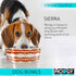 MODGY Collapsible Dog Food Bowl Dish, Reusable, Plastic Travel Size, Portable Container, Camping, Hiking, Car, Road Trip Essential, Cute Pattern, ...