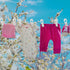 Hanger Clips 30 Pack, Multi-Purpose Hanger Clips for Hangers, White Finger Clips for Plastic Clothes Hangers, Pants Hangers Clips...