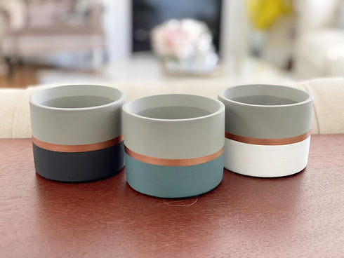 Assorted Nordic Cement Succulent Pots 3.5" Planters with Drainage | 3 Pack...