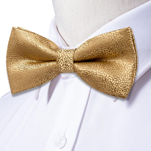 Dubulle Bowtie for Men Paisley Floral Mens Pretied Bowtie and Lapel Pin Set Pocket Square Cufflinks Wedding...