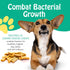 PIMA - Canine Cheese Chews, Natural Yak Chews for Dogs 35 lbs or Smaller, Lactose-Free Yak Cheese Dog Chews, Long Lasting Dog Chews with Protein a...