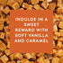 Glade PlugIns Refills Air Freshener, Scented and Essential Oils for Home and Bathroom, Vanilla Caramel Twist, 1.34 Fl Oz, 2 Count...
