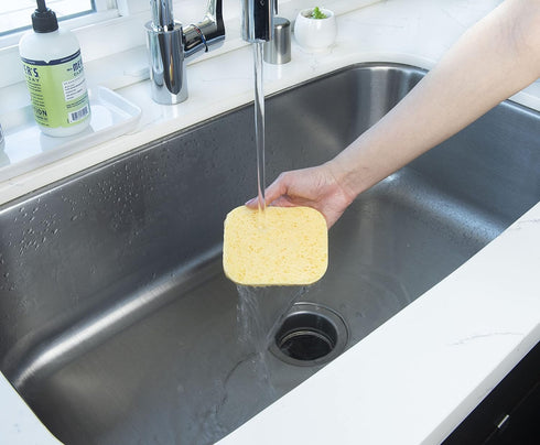 EcoLogical Pop Purpose Sponge, Yellow...