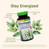 Herbs Etc. ChlorOxygen Chlorophyll Concentrate - Aids Healthy Blood Circulation - High-Altitude Environment Support - Energy Support - 60 Softgels...