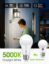 LOHAS Dusk to Dawn Light Bulbs Outdoor, Light Sensor Bulb 60W Equivalent, A19 LED Bulb Daylight 5000K, 9W Photocell Sensor LED, 900LM Auto On/Off ...