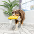 Ethical Pet Products 68054621: Toy Fun Candy Doggie Dudes 7In...