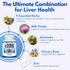 Arazo Nutrition Liver Cleanse Detox & Repair Formula – Milk Thistle Herbal Support Supplement: Silymarin, Beet, Artichoke, Dandelion, Chicory Root...