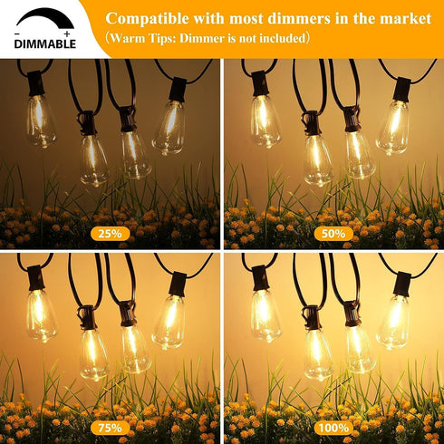 25 Pack Dimmable Edison Light Bulb Warm White 0.6 watt G40/E12 Screw Base,ST38 LED Shatterpro Bulbs for Indoor/Outdoor Courtyard String Lights...