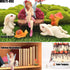 Fairy Garden Accessories, Fairy Garden Kit- Fairies, Rabbits & Mushroom- 6Pcs Mini Figurines & Ornaments Set Decor for Outdoor or House Home Dollh...