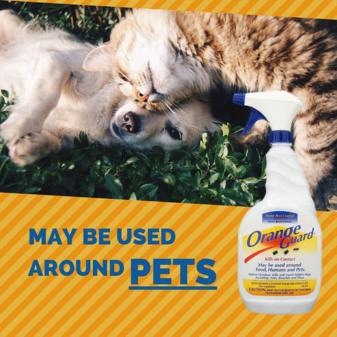 103 INC 32OZ Home Pest Control, 32 Fl Oz (Pack of 1), Clear...