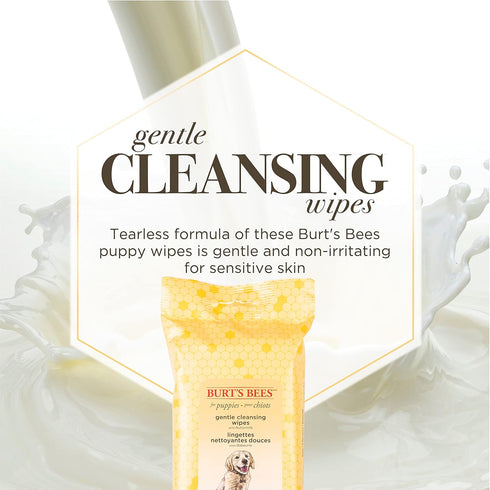 Burt's Bees for Pets Puppy Wipes - Puppy & Dog Wipes for Cleaning and Grooming - Tearless Solution - Cruelty Free, Formulated without Sulfates and...