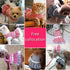 Outdoor Pet Clothes Dog Harness Dress Poodle Bichon Frise Pomeranian Schnauzer Dog Clothing Princess Costumes Pet Skirt Dropship (L,Pink)...