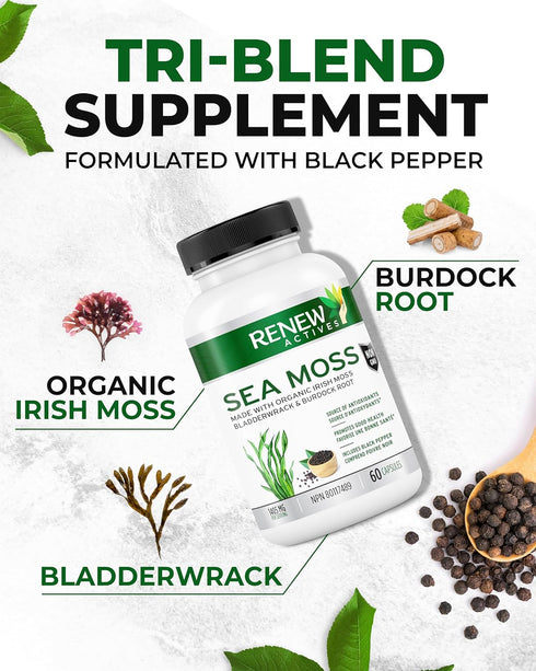 Renew Actives Sea Moss Capsules - Premium Triple-Action Antioxidant Blend with BioPerine for Ultimate Absorption - Organic Irish Sea Moss, Bladder...