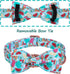 Maca Bates Summer Dog Collar with Fruit Icecream Print Bow Bowtie for Dogs Adjustable Breakaway Bow Tie Cute Puppy Collars Birthday Gift for Small...