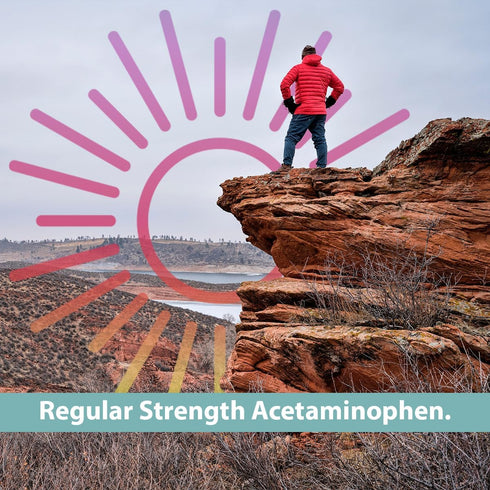 GeriCare Regular Strength Acetaminophen Pain Relief Fever Reducer Tablets, Strength 325mg Tablet | Joint, Muscle, Arthritis, Back Pain Relief 100 ...