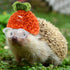 8 Pcs Hamster Hat Pet Round Costume Glasses Includes 4 Pcs Knitted Small Animals Hat with Adjustable Strap and 4 Pairs of Pet glasses for Small An...