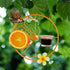 FORUP Oriole Bird Feeder for Outdoors Jelly and Oranges, Orange Fruit Oriole Jelly Bird Feeder, Outdoor Garden Metal Hanging Drinking Grape Jelly ...