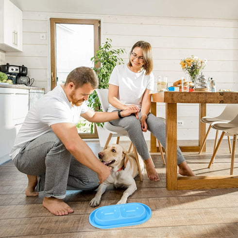 2 Pieces Cat Food Bowls Basic Dog Bowls Plastic Double Pet Food Water Bowls Feeding Bowl Tray Cat Eating and Drinking Bowl No Spill for Cats Dogs ...