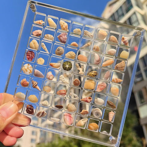 Acrylic Seashell Display Box, Magnetic Seashells Storage Box Case, Decorative Small Craft Trinket Organizer Container for Starfish Nail Jewelry Be...